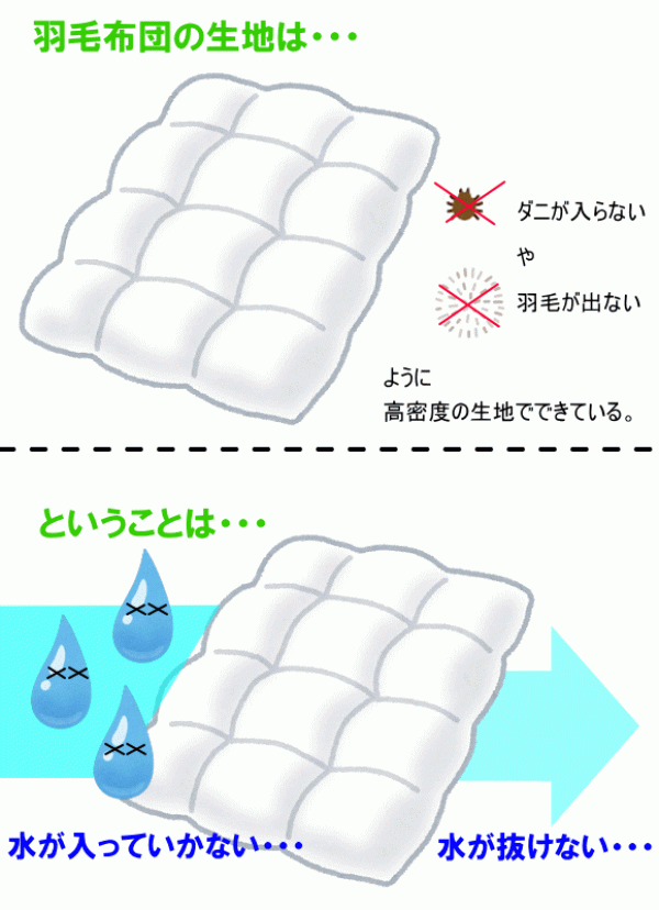 羽毛布団は洗濯がむずかしい・・・サムネイル